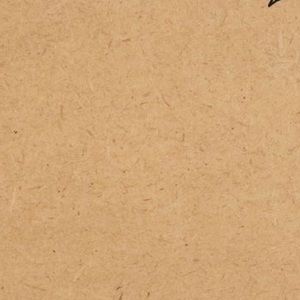 Meet your Posher, Kendall